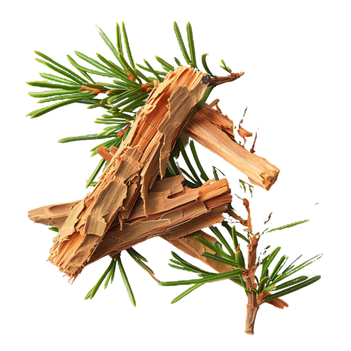 Brown wood pieces and green pine needles on black background.