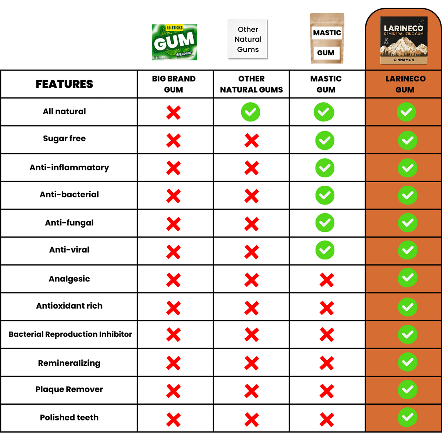 Gum features comparison table (Big Brand, Other Natural, Mastic, Larineco)