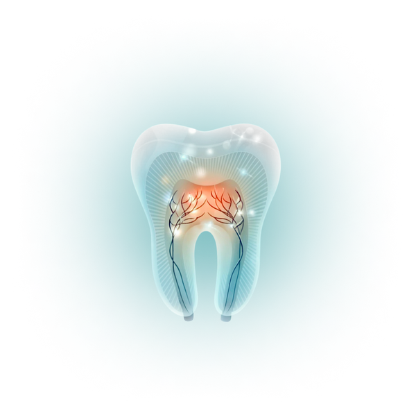 Tooth anatomy illustration - Group_1000006093