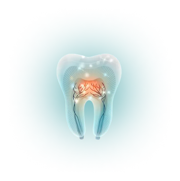 Tooth anatomy diagram, Group_1000006093