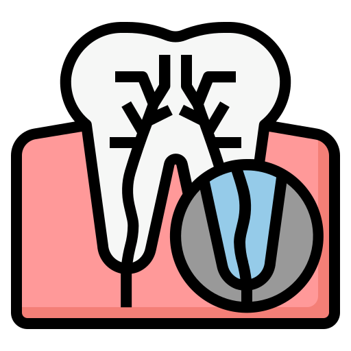 Tooth anatomy diagram for dentist