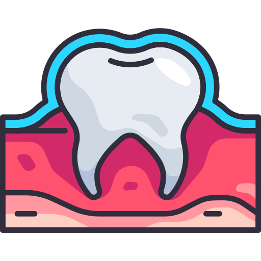 Enamel tooth illustration showing the tooth and gums.