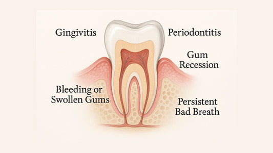 How to Improve Gum Health Naturally: Common Issues, Causes, and the Benefits of Mastic Gum
