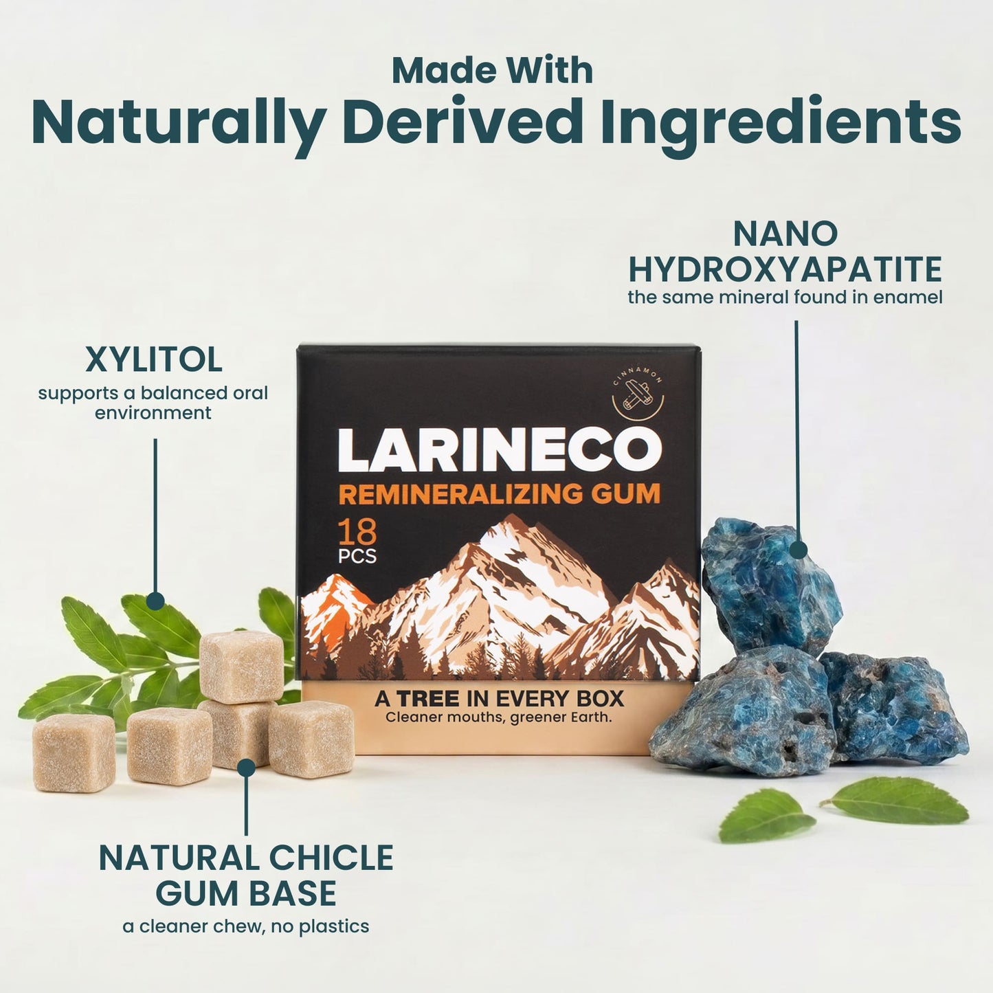 Cinnamon Remineralizing Gum