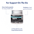 Enamel Starter Kit