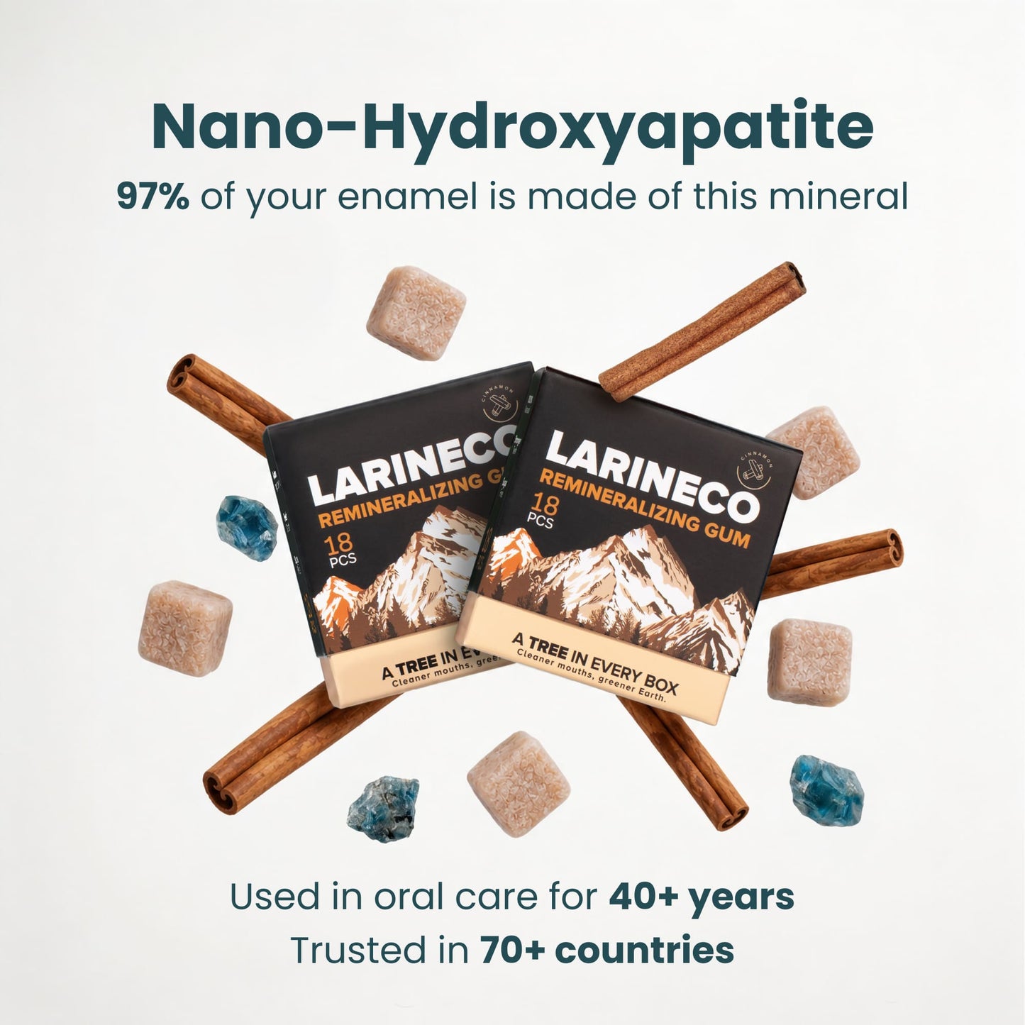 Cinnamon Remineralizing Gum