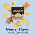 Larineco™️ - Ginger Remineralizing Gum