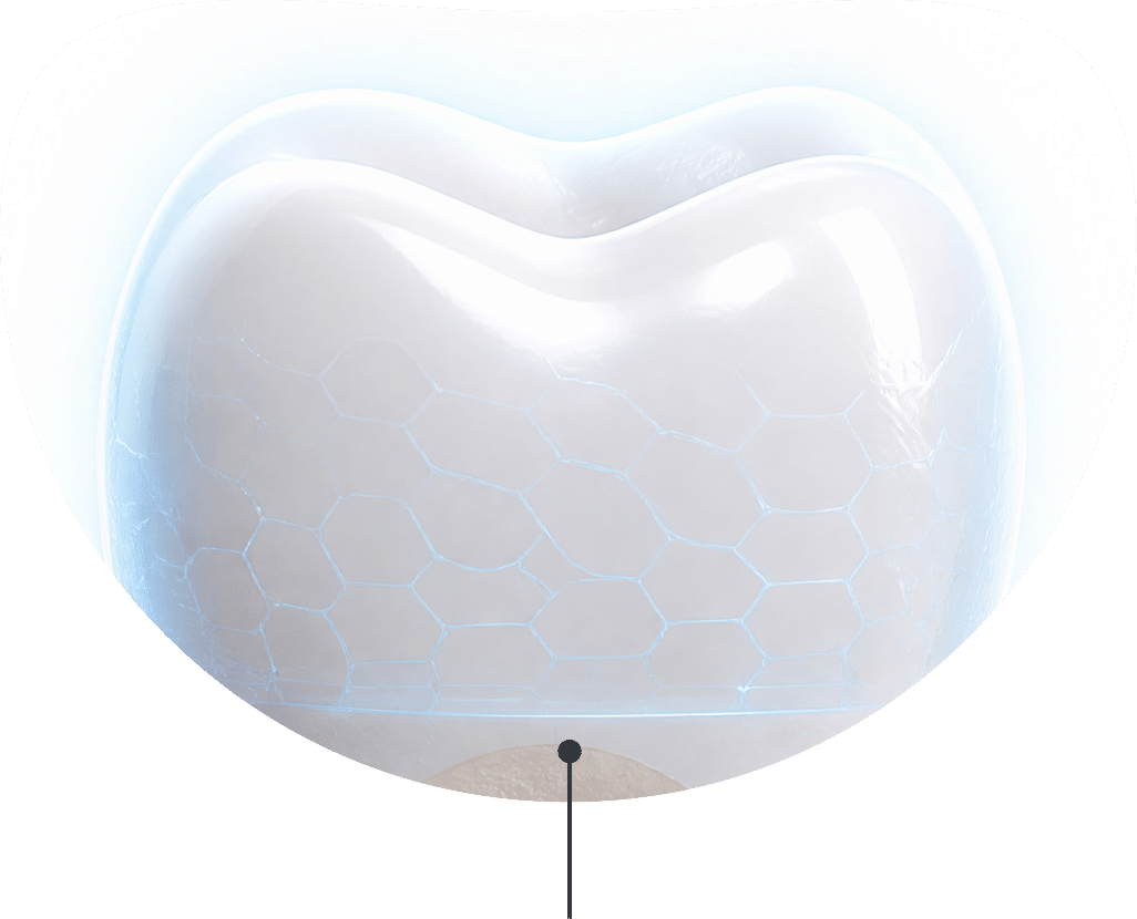 Teeth with daily enamel support