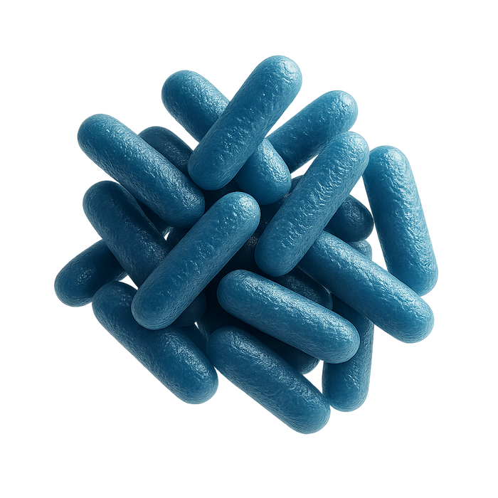 Lacticaseibacillus paracasei LPc-G110-2 bacteria, close-up