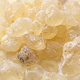 MASTIC GUM