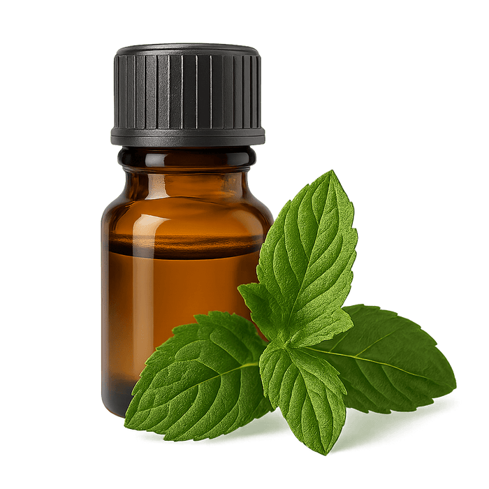 Peppermint oil bottle with fresh mint leaves