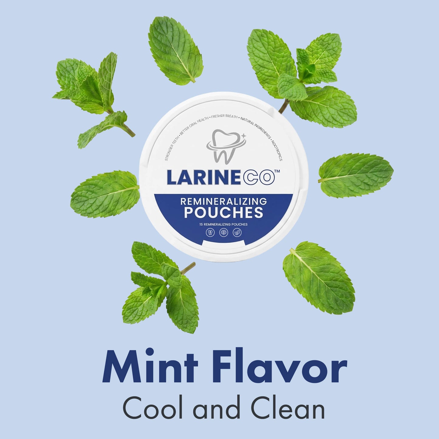 Remineralizing Pouches