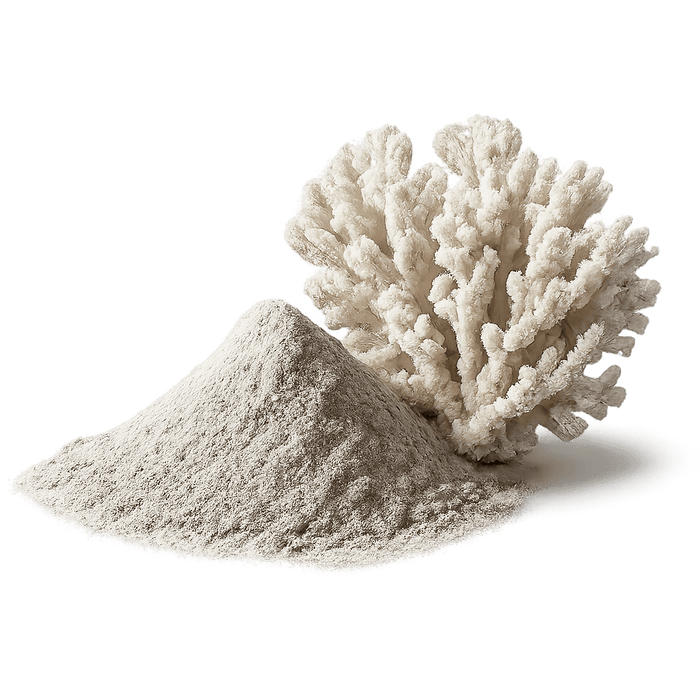 Silver coral powder with coral structure