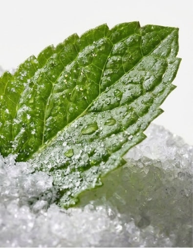 XYLITOL