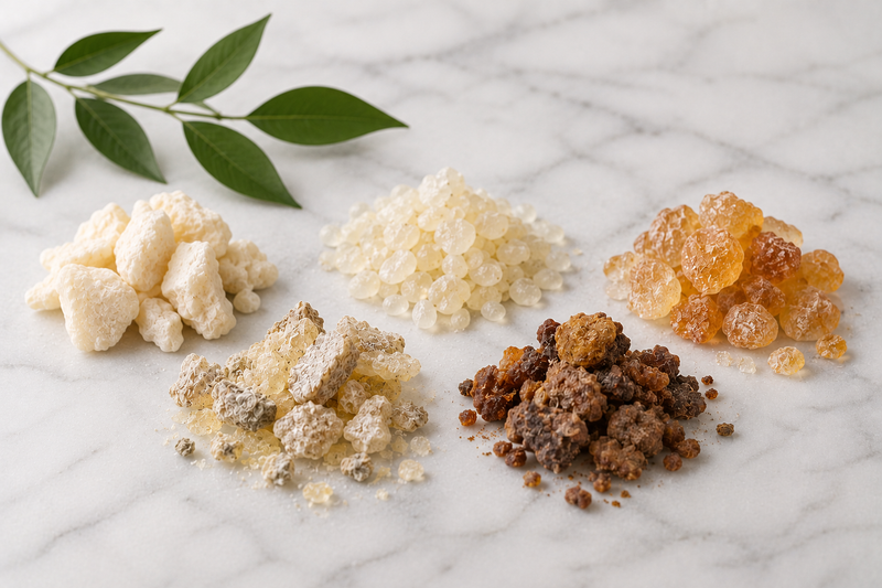 Natural gum bases