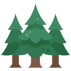 Tree Planted